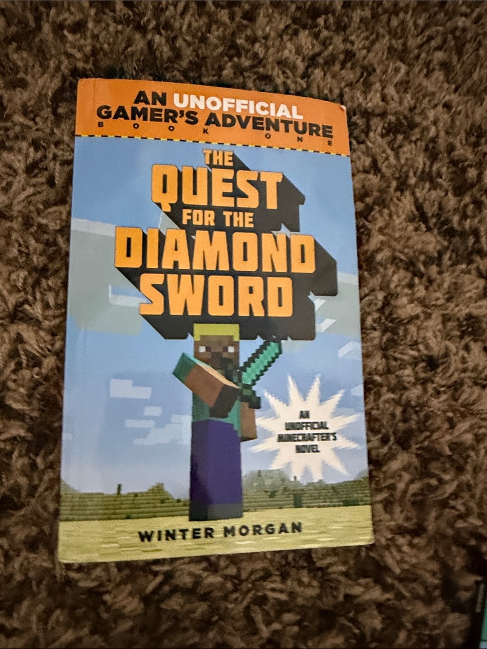 Minecraft Kids Book Set – Assorted Color Covers - Picture 6 of 8